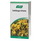 A.Vogel Solidago Te 50g