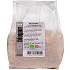 Biogan Loppfröskal Psyllium EKO 200g