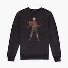 Marvel Ant-Man & The Wasp: Quantumania Ant-man Hex Sweatshirt (Unisexe)