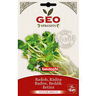 Bavicchi Geo Rädisfrö Groddning Eko 30g