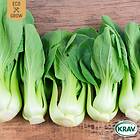 Fröer Eco Grow Pak Choi Eko