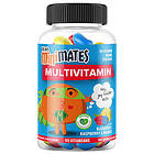 TEAM Minimates Multivitamin Vegan 90 Stk