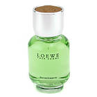 Loewe Fashion Pour Homme edt 50ml
