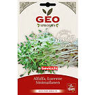 Bavicchi Geo Alfalfafrö Groddning Eko 40g