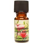 Diverse Unique Lavendelolja 10ml