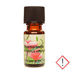 Diverse Unique Rosmarinolja 10ml