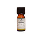 Fischer Pure Nature Stjärnanisolja eterisk 10ml