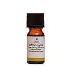 Fischer Pure Nature Citronmynteolja eterisk 10ml