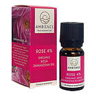 Ambience Rosolja 4% EKO 10ml