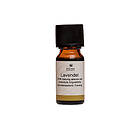 Fischer Pure Nature Lavendelolja eterisk 10ml