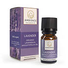 Ambience Lavendelolja, EKO 10ml