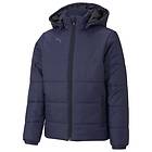 Puma Winter Jacket Teamliga Padded