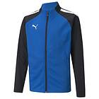 Puma Teamliga Training Jacket Jr