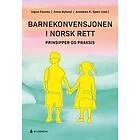 Barnekonvensjonen i norsk rett