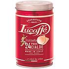 Lucaffe Pulcinella espresso kapselit 24 st. i en burk