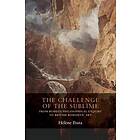 The Challenge of the Sublime