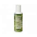 Eubiona Regulating Shampoo Birch & Olive Leaf 200ml