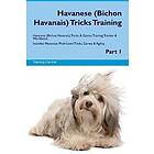 Tracker Havanese (Bichon Havanais) Tricks Training Havanese Tricks & Games Train