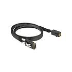 DeLock SAS intern kabel 50 cm