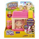 Little Live Pets Mama Surprise Minis Lil Bunny