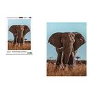 Elephant Portrait Photographers's Collection Puslespill 1000 brikker WWF
