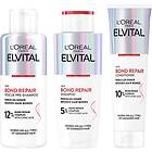 L'Oreal Paris Elvital Bond Repair Haircare Trinome Kit