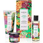 Jardin Baïja Pallanca Ritual Gift Set Blackcurrant