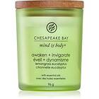 Chesapeake Bay Candle Lemongrass Eucalyptus 96g