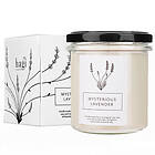hagi Mysterious Lavender Soy Candle 230g