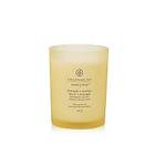 Chesapeake Bay Candle Pineapple Coconut medium 250g