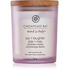 Chesapeake Bay Candle Joy & Laughter 96g