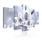 Arkiio Tavla Amethyst Grace A3-N4027A