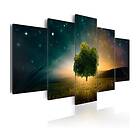 Arkiio Tavla Valley Of Stars A3-N5673A