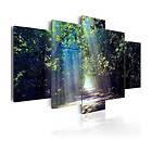 Arkiio Tavla Sunny Forest Path A3-N3781A