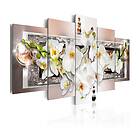 Arkiio Tavla White Abstract Orchid A3-N3456A