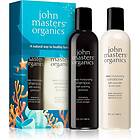 John Masters Organics Dry Hair Set