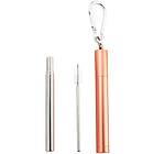 Naturalis Stainless Steel Straw Telescopic Set