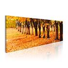 Arkiio Tavla Park Covered With Golden Leaves A3-N1225A