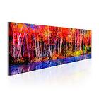 Arkiio Tavla Colorful Autumn Trees A3-N6733A