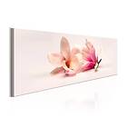 Arkiio Tavla Beautiful Magnolias A3-N6532A