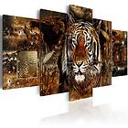 Arkiio Akrylglastavla Golden Jungle A3-Acrylglasbild357-