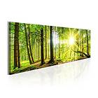 Arkiio Tavla Majestic Trees A3-N4419A