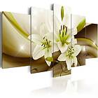 Arkiio Akrylglastavla Modern Lily A3-Acrylglasbild253-