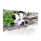 Arkiio Tavla Zen Composition Bamboo Orchid And Stones A3-N3646A