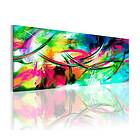 Arkiio Tavla Madness Of Color A3-N3216A