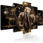 Arkiio Akrylglastavla Brown Elephants A3-Acrylglasbild351-