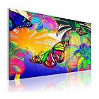 Arkiio Tavla Exotic Butterflies A3-N2709-DKXLA