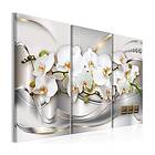 Arkiio Tavla Blooming Orchids I A3-N7210-DKA