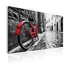 Arkiio Tavla Vintage Red Bike A3-N6045A