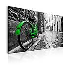 Arkiio Tavla Vintage Green Bike A3-N6047A